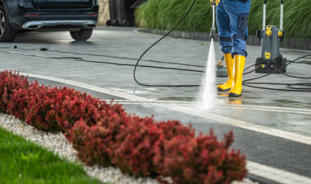 Best Dumpster Area Cleaning  in Staten Island, NY
